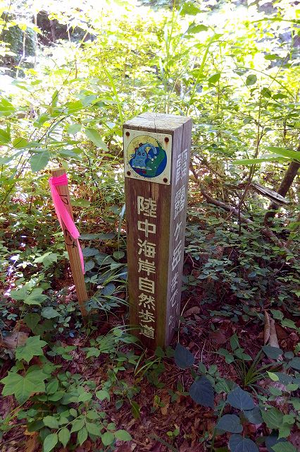 e0137200_216084.jpg