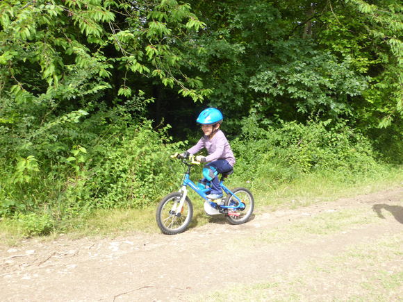 e0110807_17304682.jpg