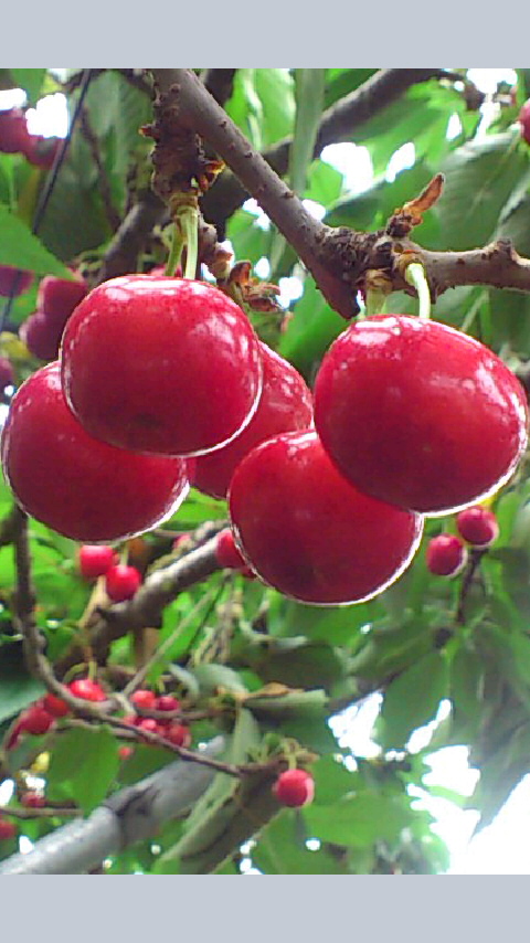 b0028109_22283360.jpg