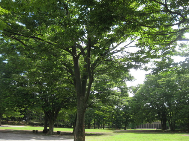 b0183111_10483963.jpg
