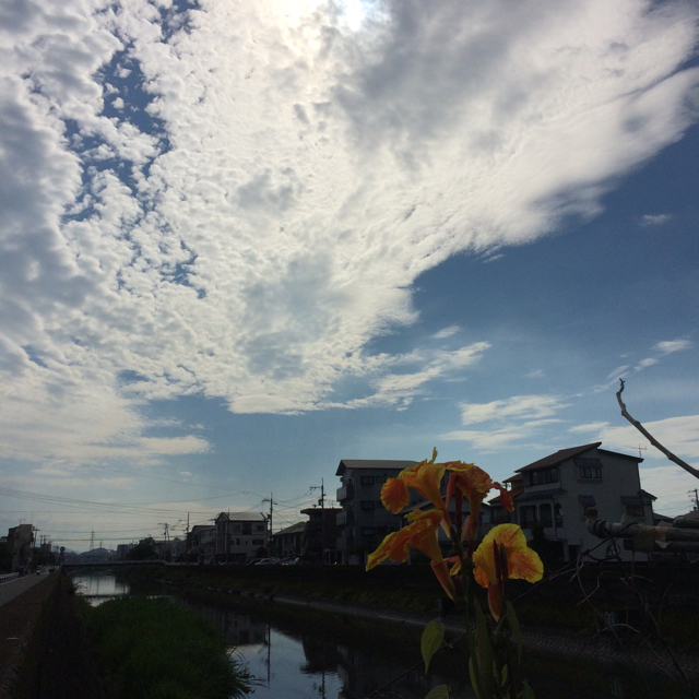 d0169411_08351970.jpg