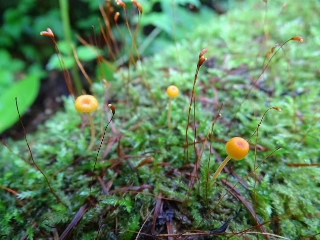 f0360815_14264419.jpg