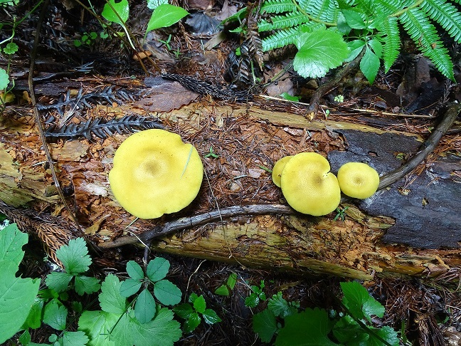 f0360815_14264511.jpg