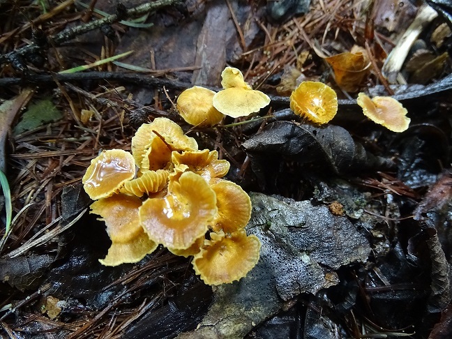 f0360815_14264573.jpg