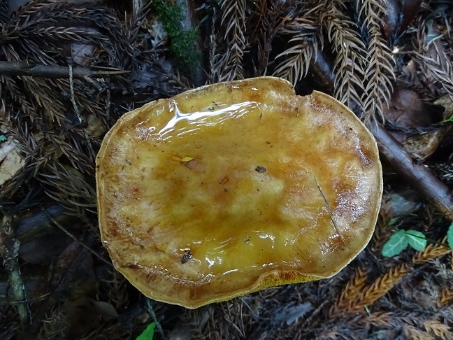 f0360815_14264615.jpg