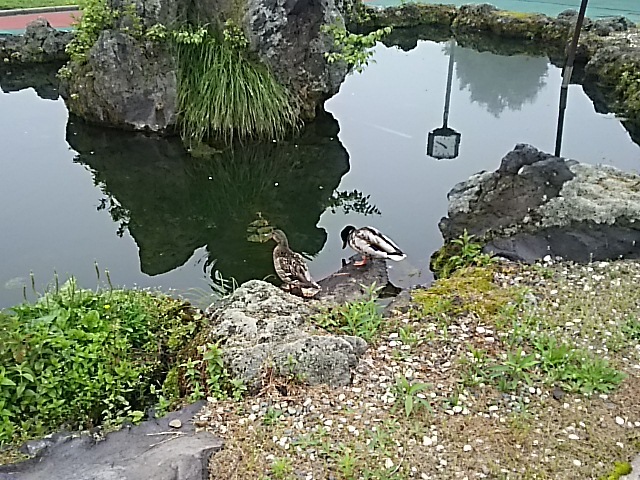 f0227321_17540395.jpg