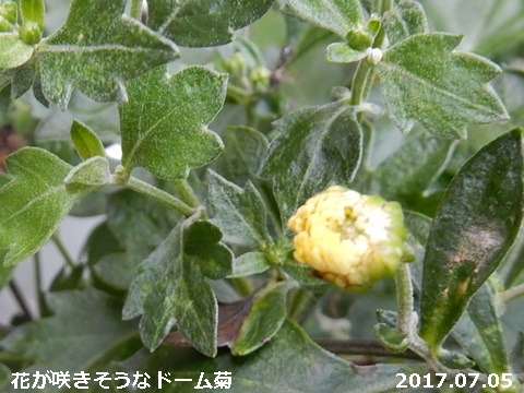 e0033229_18165924.jpg