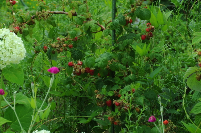 c0172234_22260506.jpg