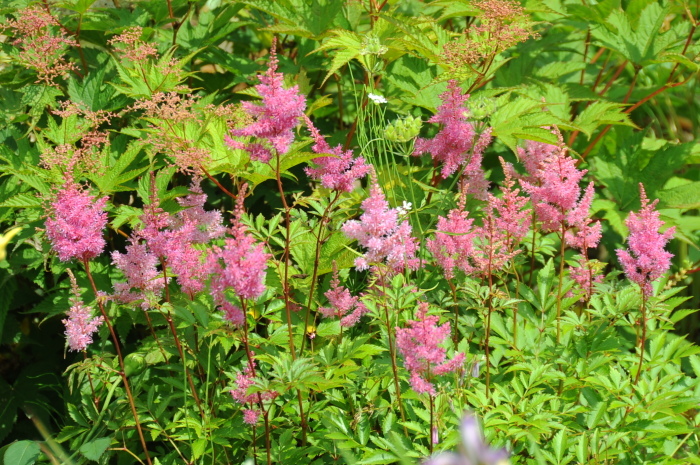 c0172234_22263683.jpg