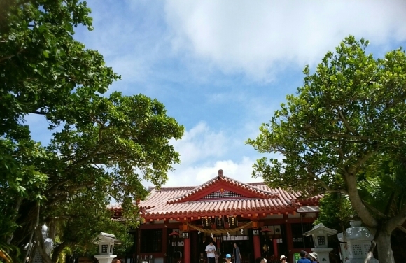 a0266139_15342255.jpg