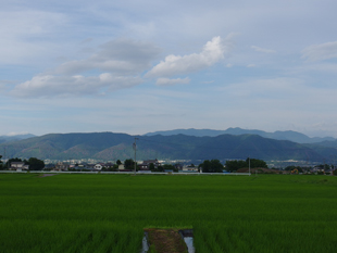 a0014840_225050.jpg