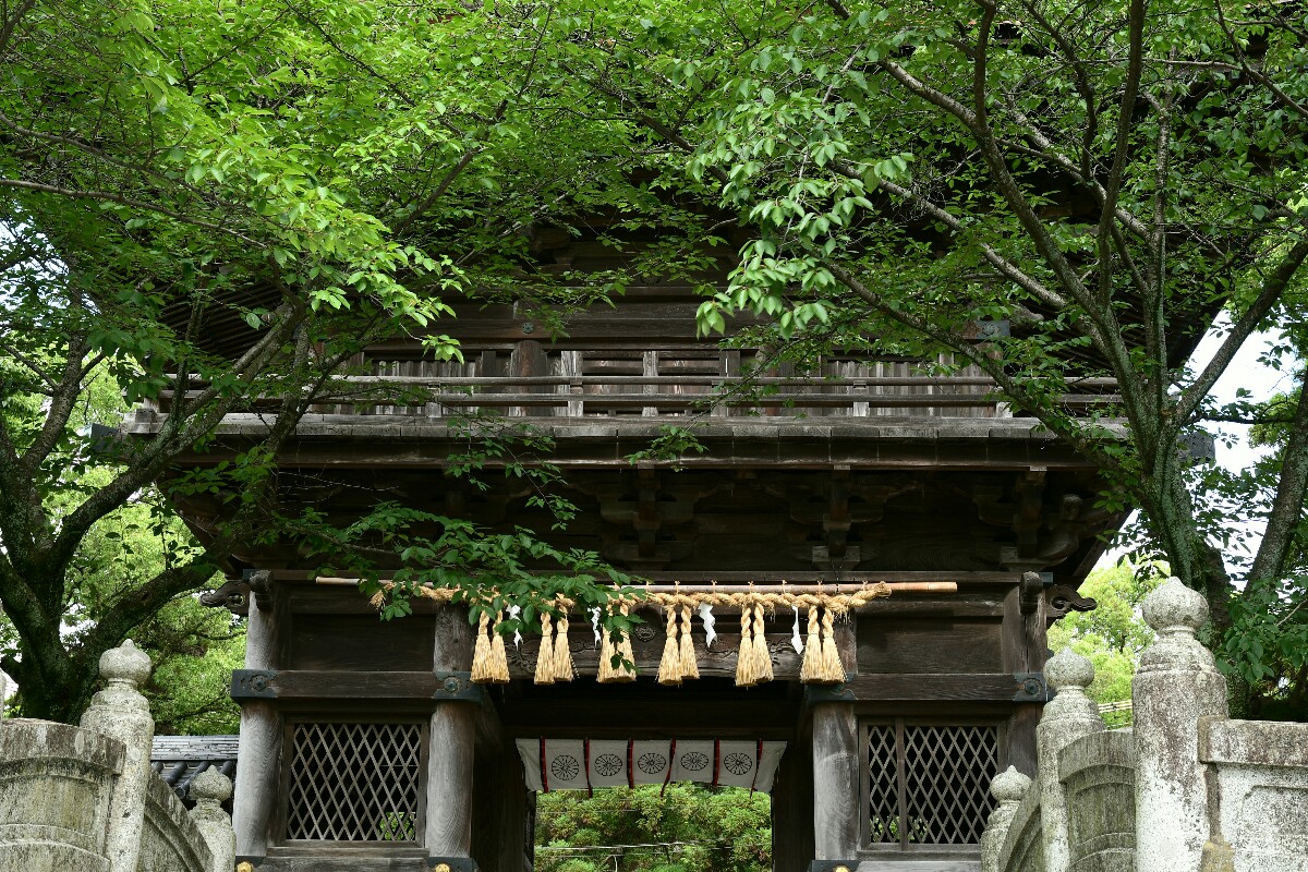 b0190445_1533676.jpg