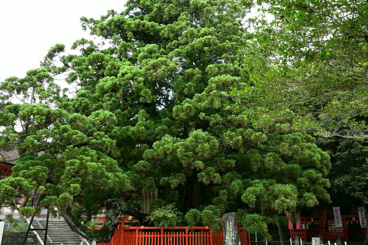 b0190445_15342333.jpg
