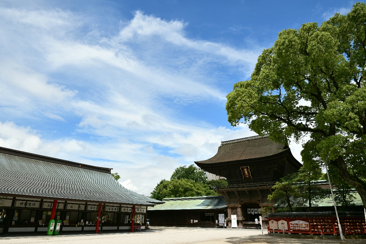 b0190445_21574469.jpg