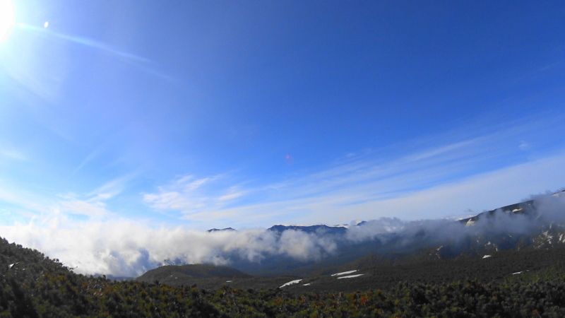 e0321848_20174202.jpg