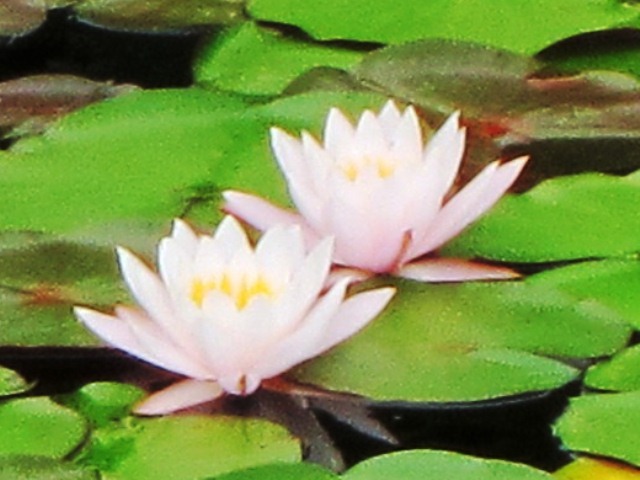 b0289649_20533562.jpg