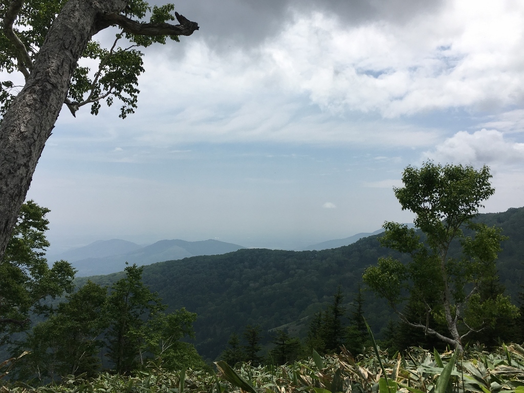 e0326953_12161899.jpg