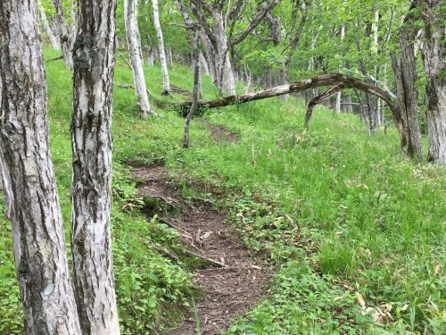 e0326953_12163457.jpg