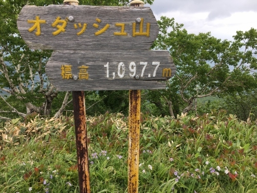 e0326953_13015629.jpg