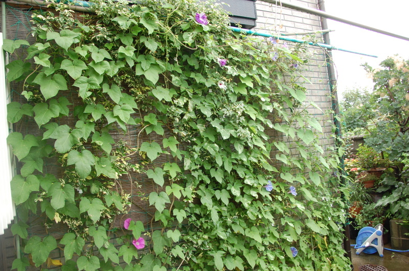 c0108460_13443273.jpg