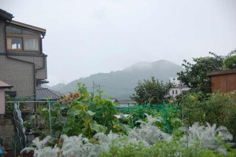 c0108460_13444655.jpg