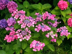 b0160363_00550043.jpg