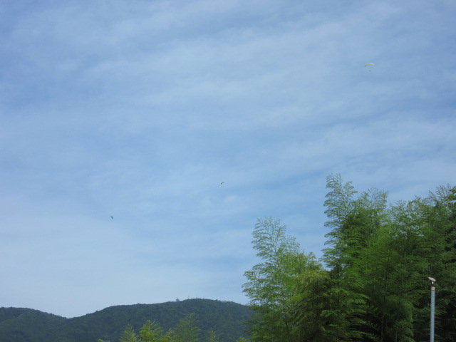 d0109373_20224186.jpg