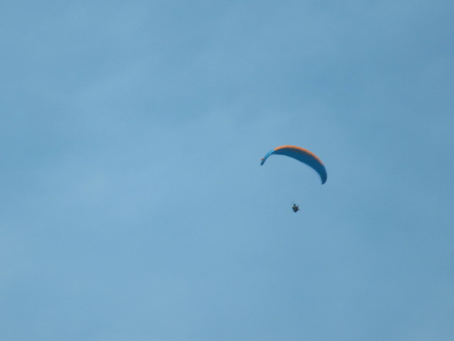 d0109373_20233910.jpg
