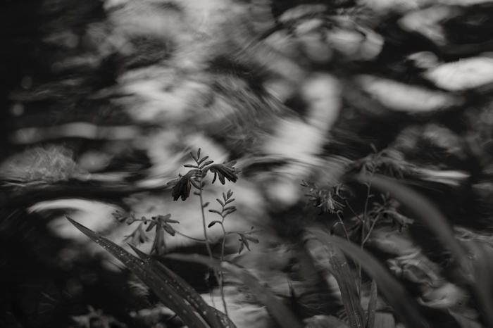 f0288774_20152328.jpg