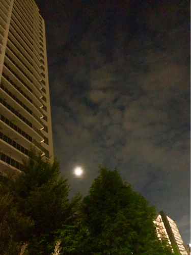 b0229277_22401724.jpg