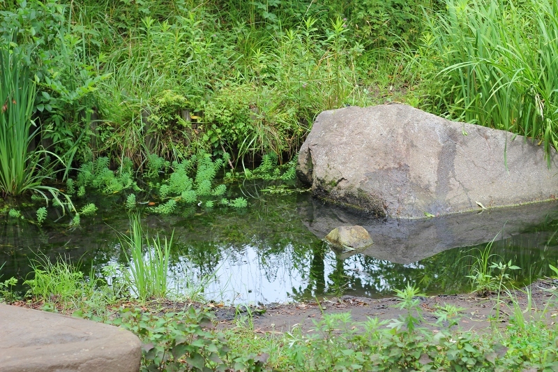 e0374581_13473886.jpg