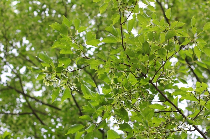 e0374581_14165214.jpg