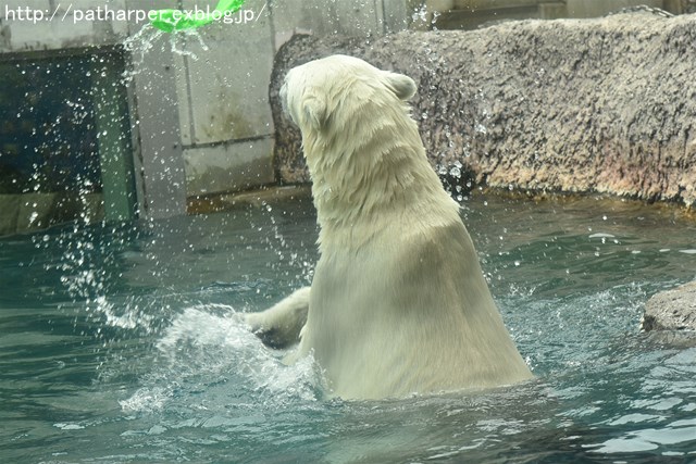 a0052986_723575.jpg