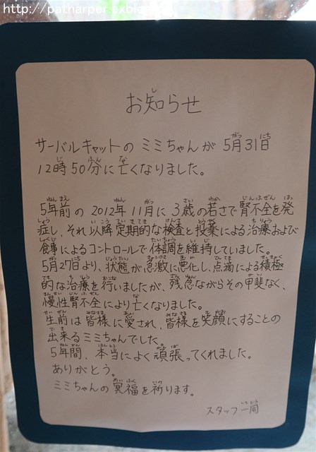 a0052986_7561337.jpg