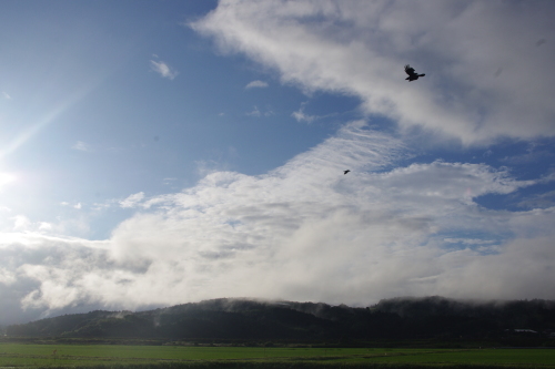 c0337494_17484416.jpg