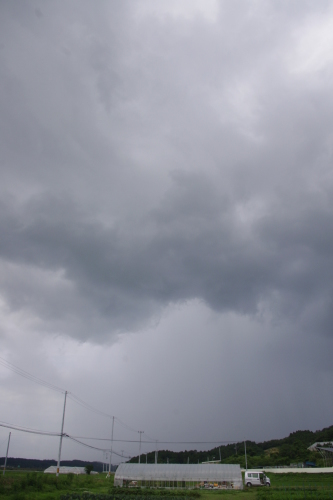 c0337494_17510599.jpg
