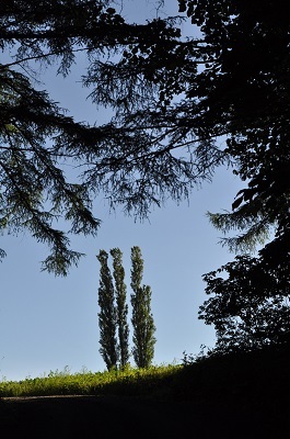 e0180796_16383807.jpg