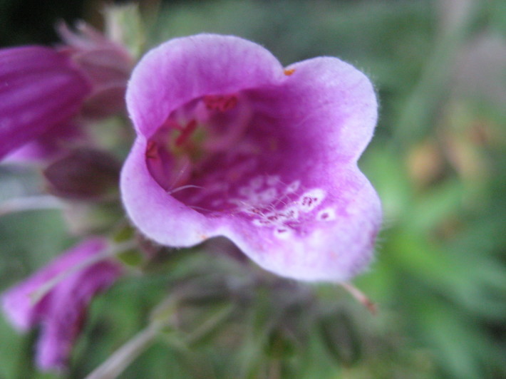 f0201297_11434963.jpg