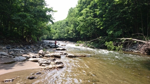 b0172805_05514538.jpg