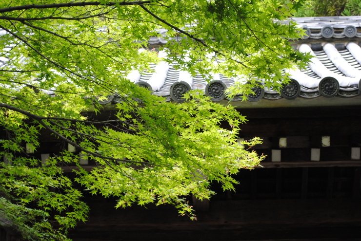 f0361605_22241066.jpg