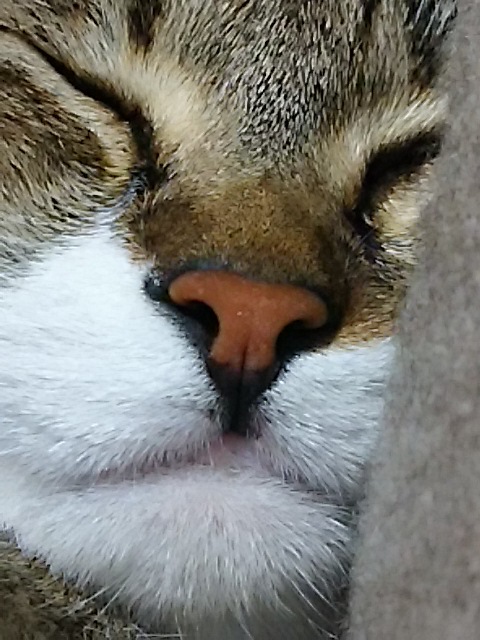 f0316507_04051060.jpg