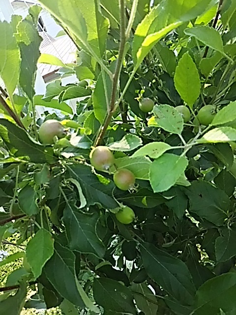 f0316507_07543645.jpg