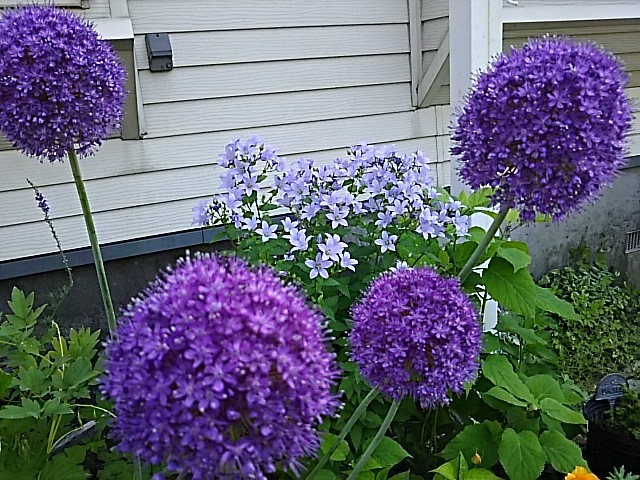 f0316507_12431114.jpg