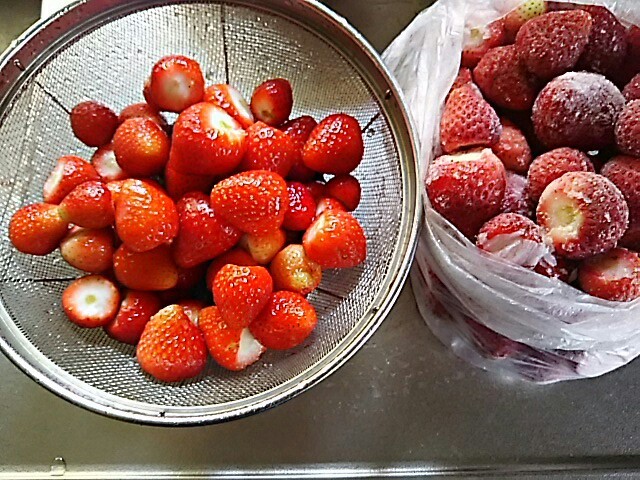 f0316507_12450501.jpg