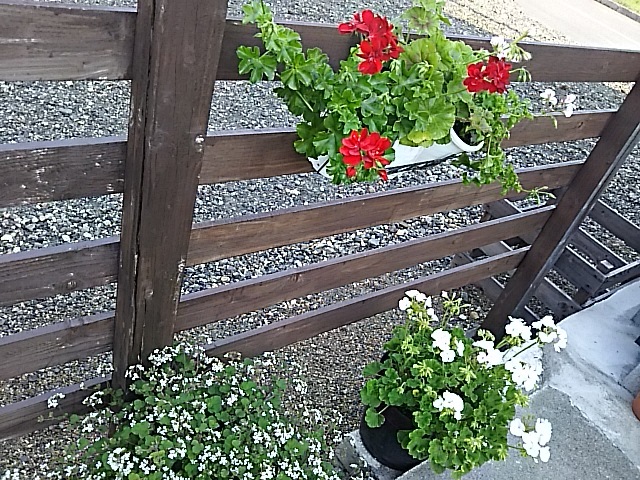 f0316507_20432040.jpg