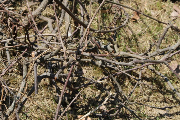 c0178009_17393848.jpg