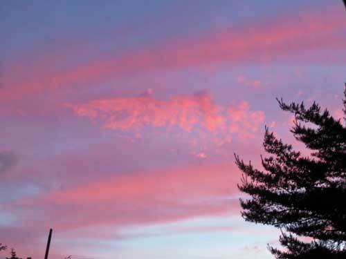 e0001110_08471437.jpg