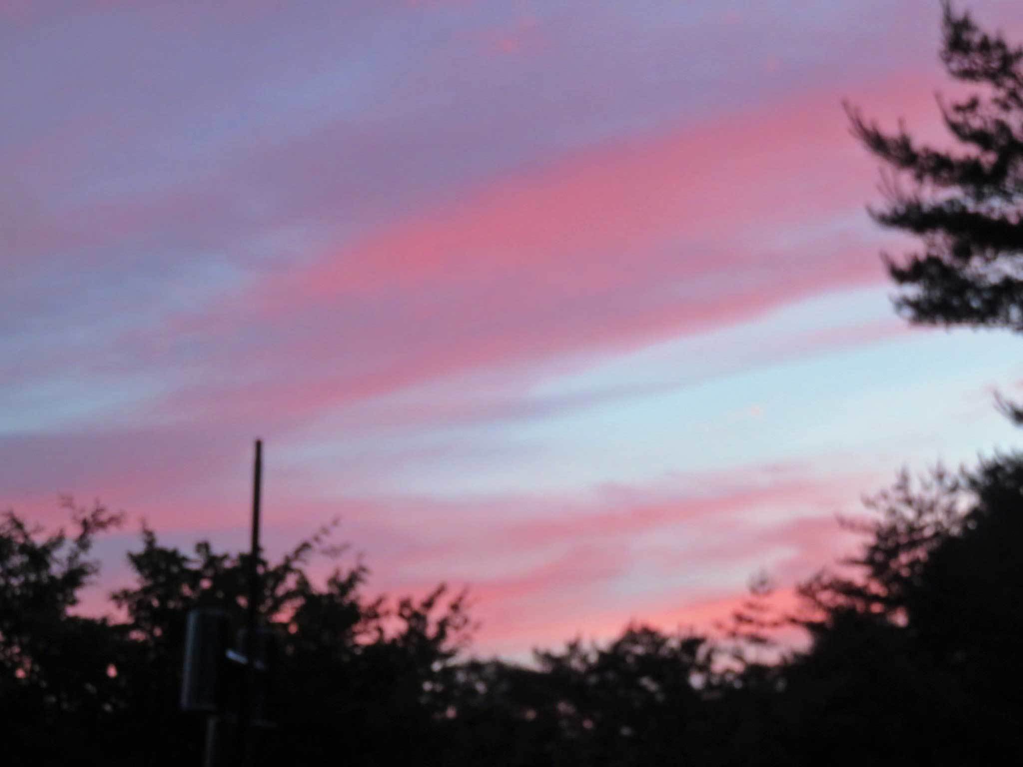 e0001110_08472734.jpg