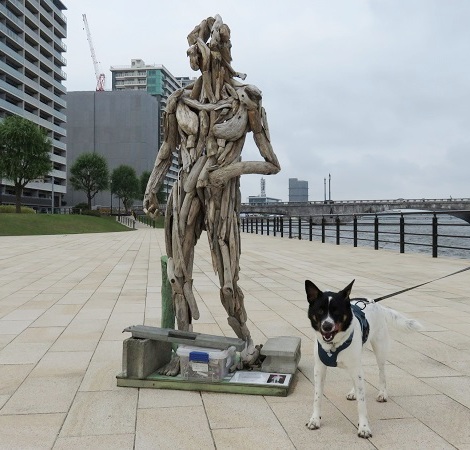 c0084117_20115890.jpg
