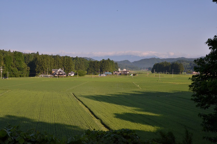 e0349817_12283532.jpg